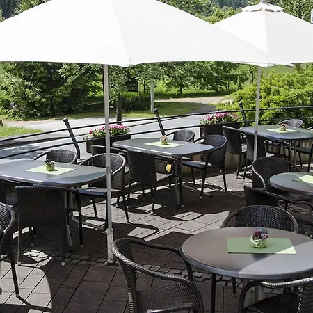 Hotel Schweinsberg 3*